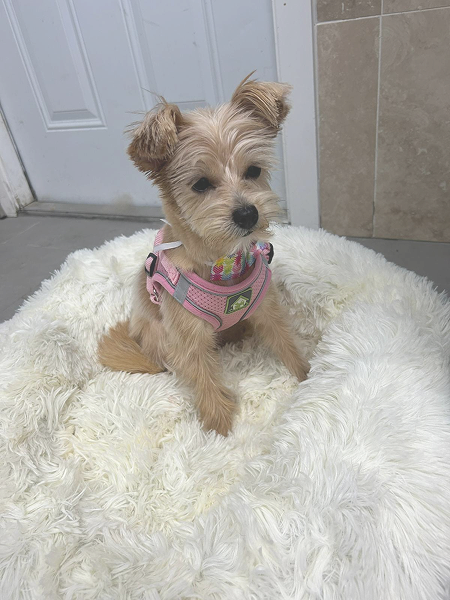 0250bda2-3a98-4d56-91da-b67a2eb65c84_55