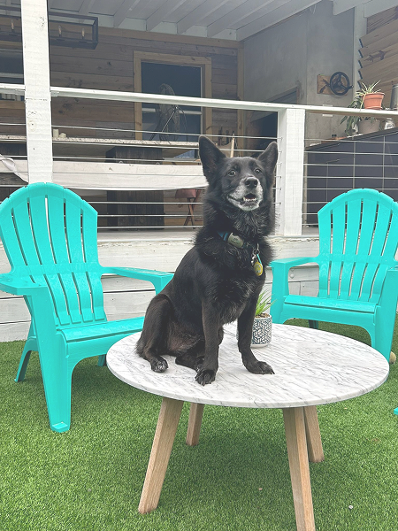 0bc2f1c1-42f0-44fd-922d-f22bca7bfab6