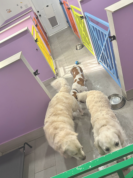 1cc108a9-7f84-47bc-8c2a-b27ad94a75d8