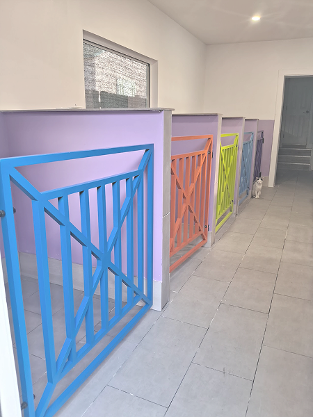 20250616_084906_3772