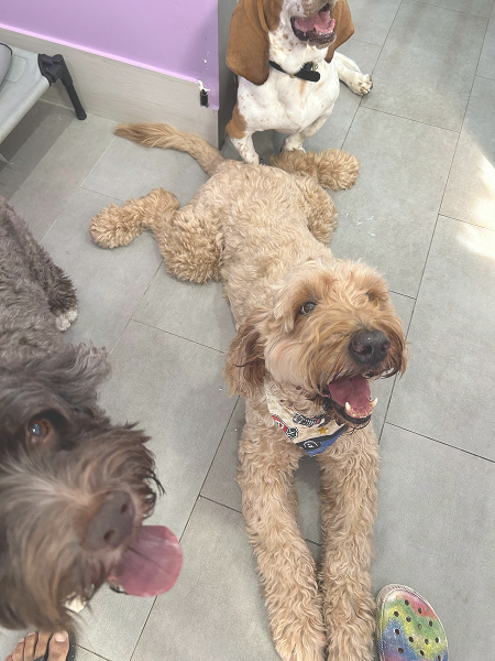 6078e966-e874-4188-b996-339845a174cf