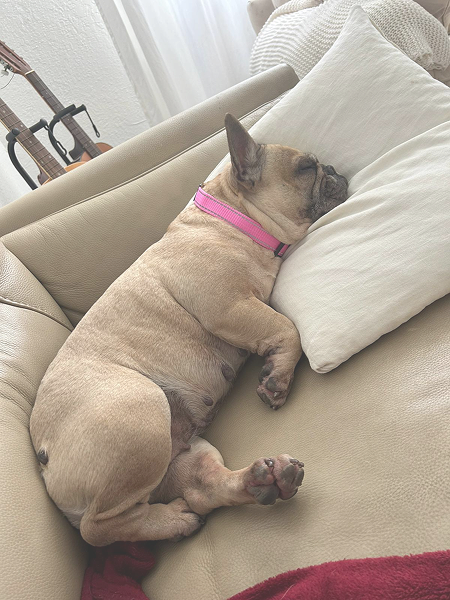 6d4290b0-6f87-457a-b9c4-e895dba52220