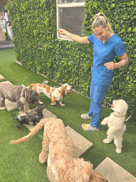 764fdc66-33a4-41b8-aee6-609c48d615a4