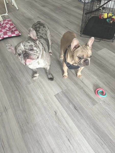 841aebec-c851-4618-b8d8-0bf1feb548d5_9903