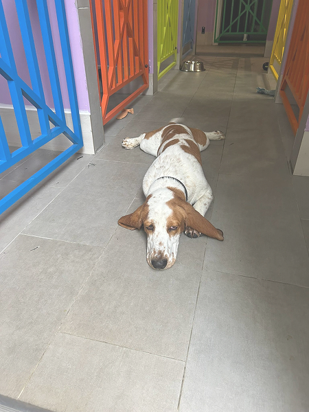 90b806a3-2d62-4a06-a797-3ca72a3dcd6d