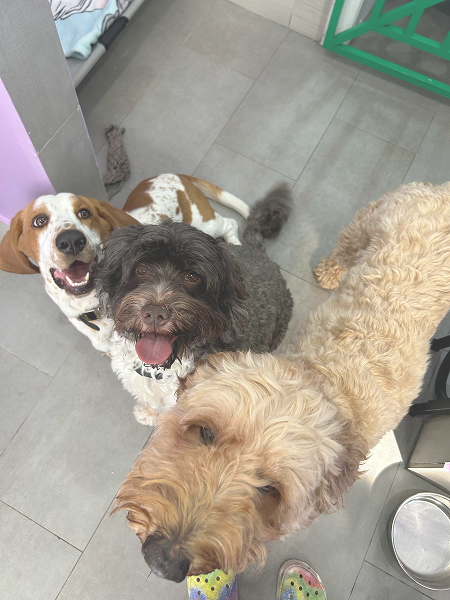 9f279e70-aed2-431d-b381-c91d3dd3e133