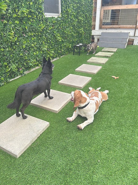 d495de9f-43b8-4499-a555-166c95f9e71b