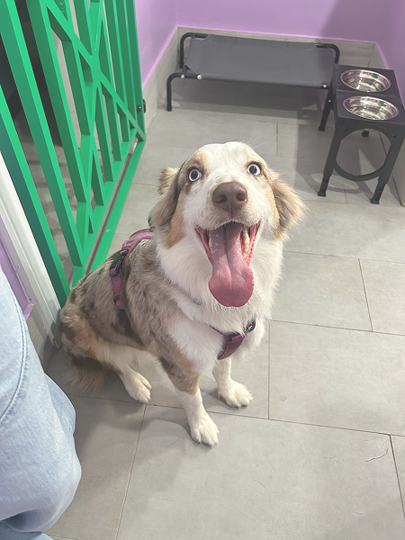 dd2c633a-aa39-48b7-a29d-6909673dcc63