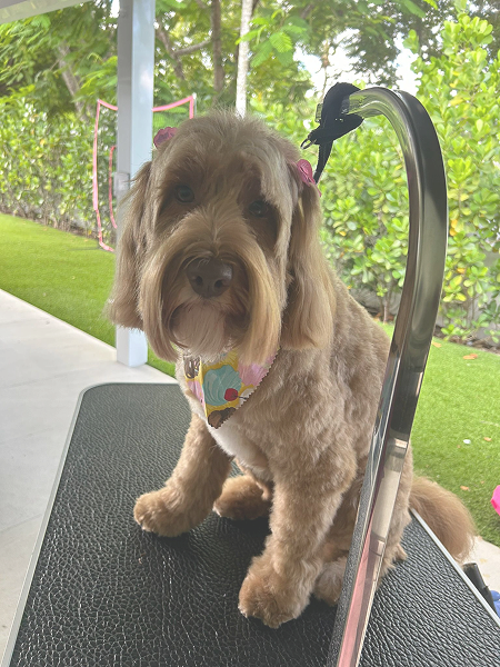 dda6df8b-3ca2-45ab-95d8-c68628bb737b