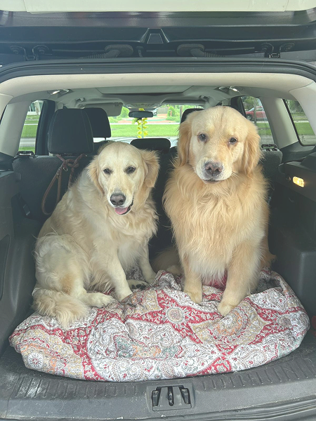 e32e800b-f47b-49a8-8abf-2ca35271d288