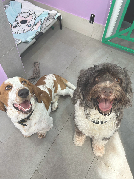 e526c0ce-c146-4e2d-b1b8-01fc46bba7f5_4793