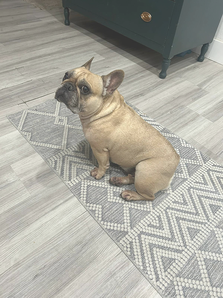 f9f4d08d-3448-4394-9ffb-1bcdef7a7237